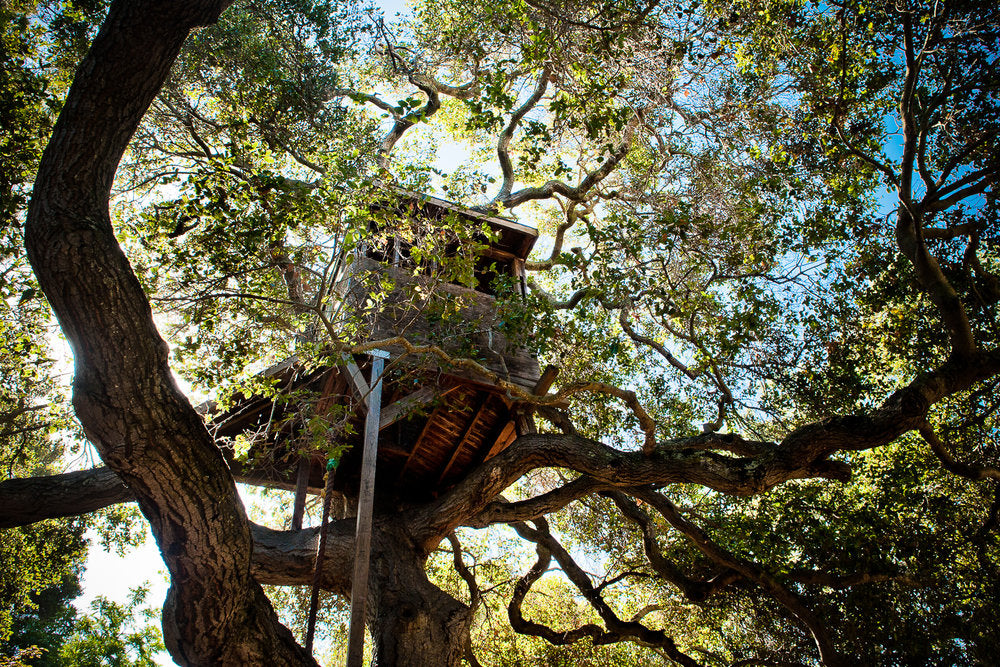 Peninsula School