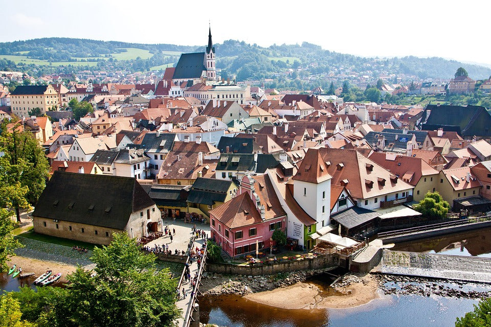 Study Medical Bioengineering (Master’s) in Czech Republic