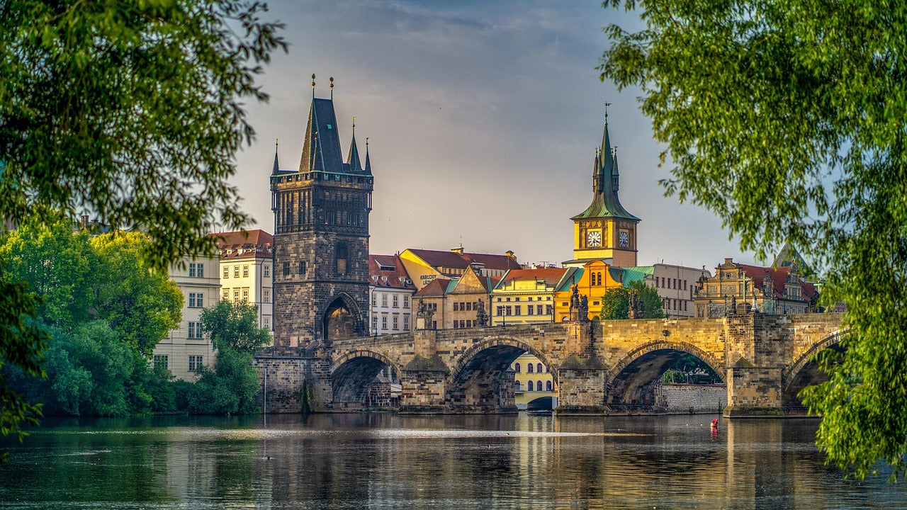 Study Medical Bioengineering (Master’s) in Czech Republic