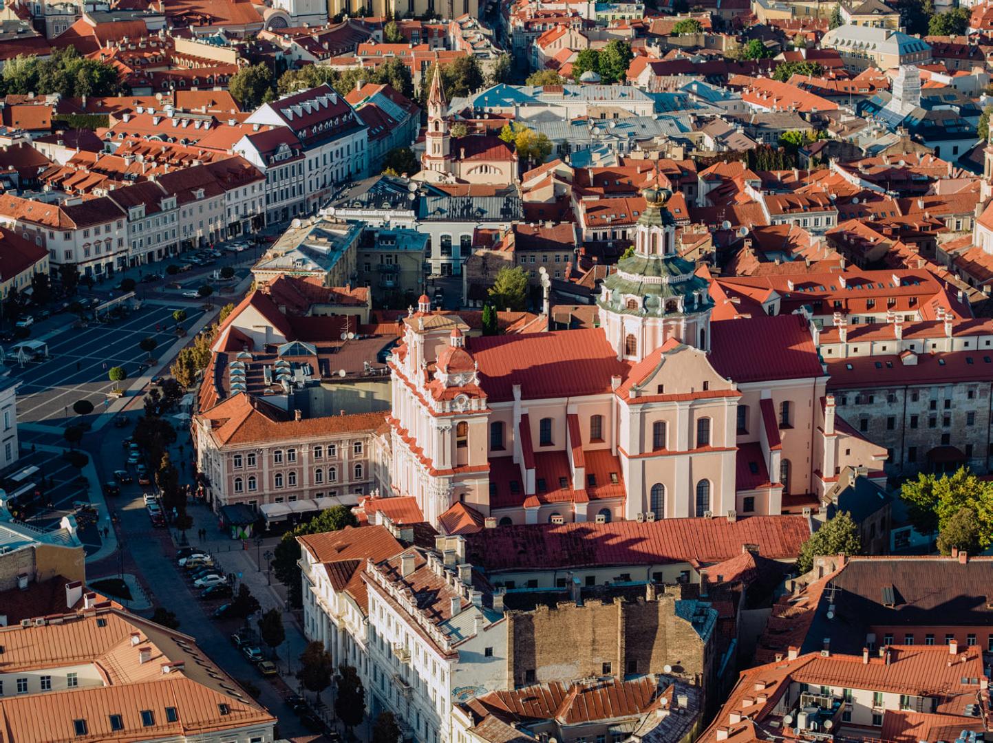 Study Medical Bioengineering (Master’s) in Lithuania