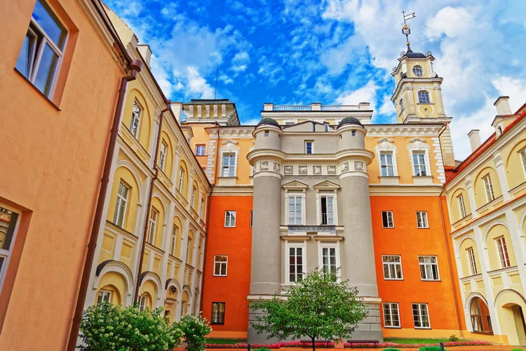 Study Medical Bioengineering (Master’s) in Lithuania