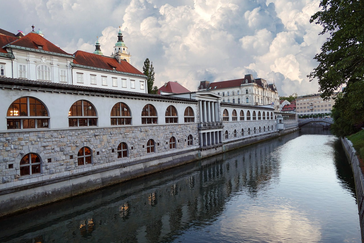 Study Physiotherapy in Slovenia