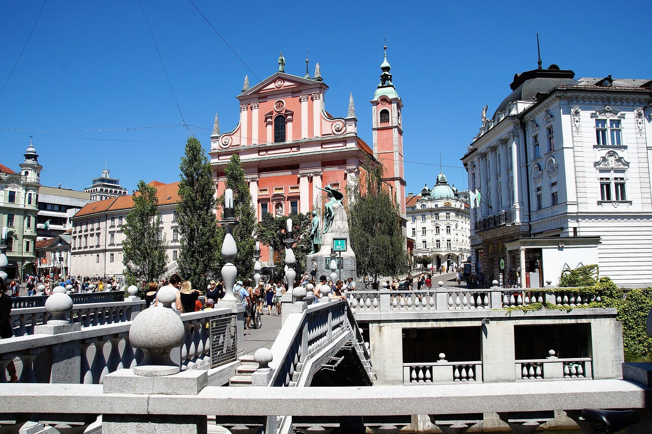 Study Physiotherapy in Slovenia