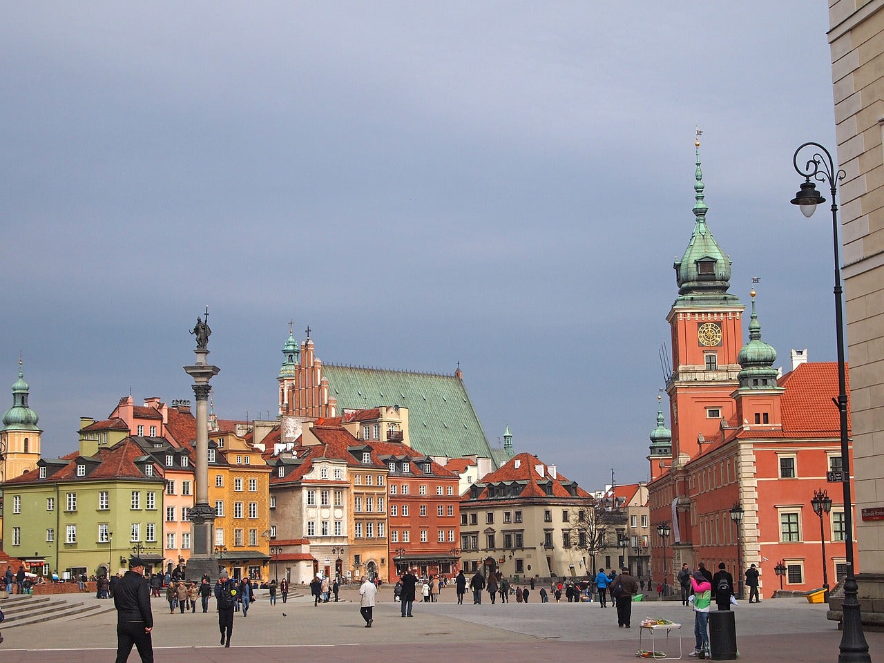 Study Veterinary Medicine in Poland