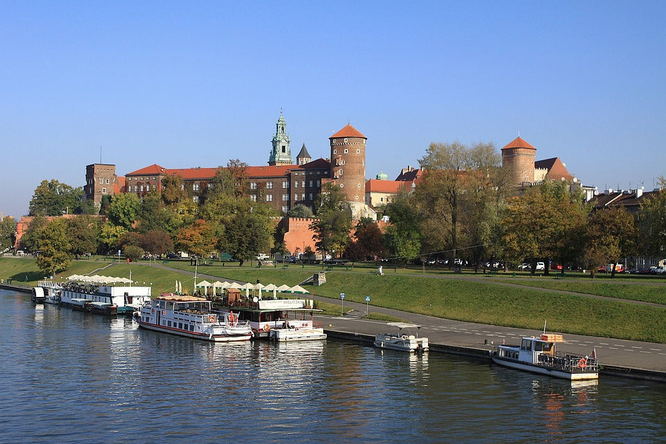 Study Veterinary Medicine in Poland