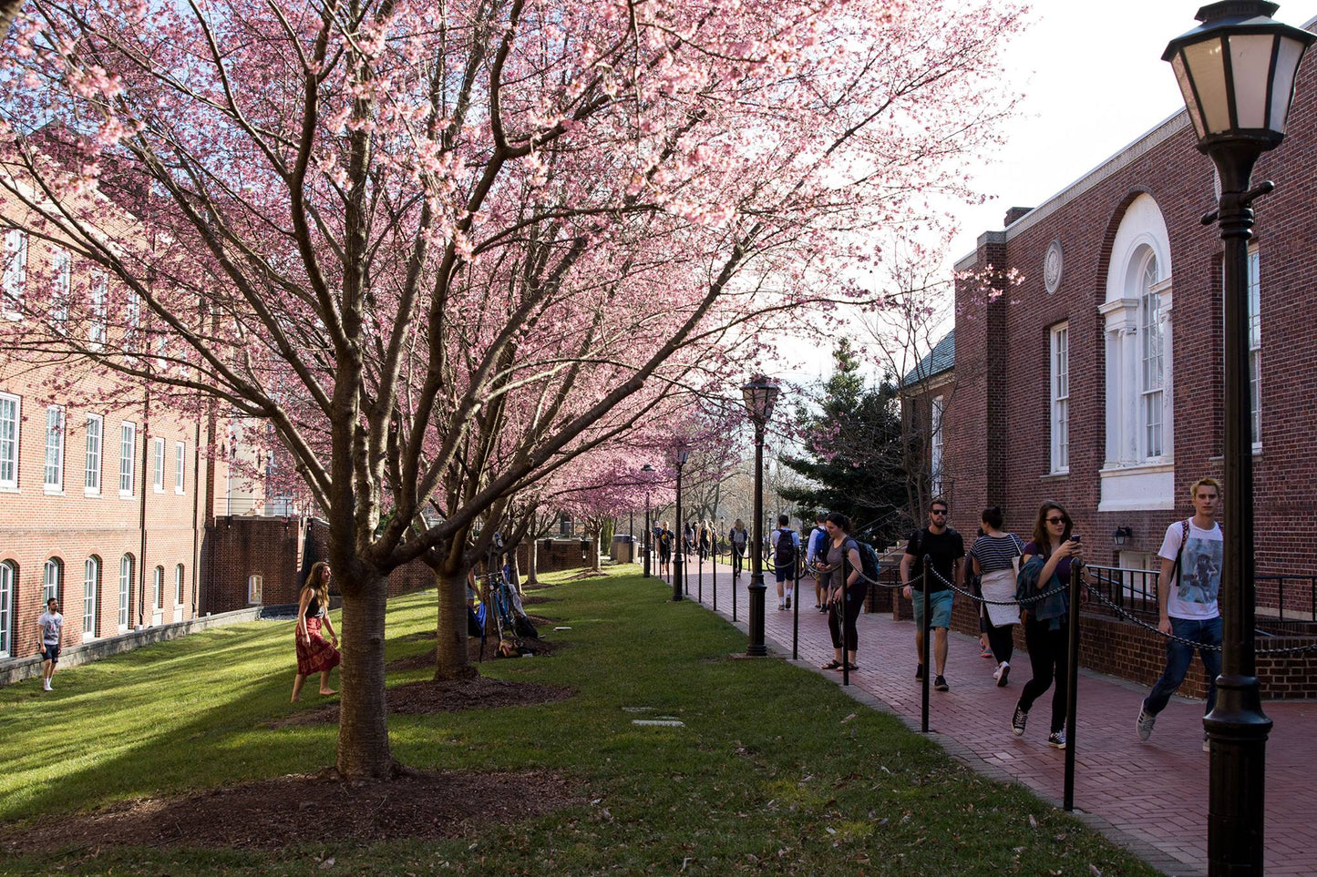 University of Delaware