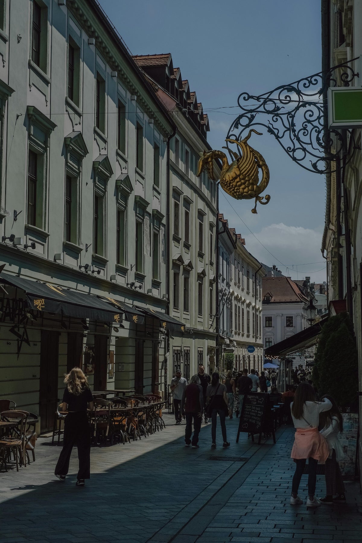 Study Veterinary Medicine in Slovakia