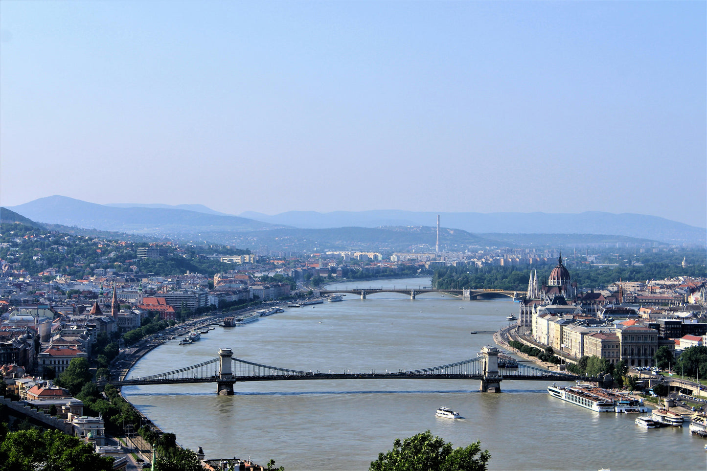 Study Dentistry in Hungary