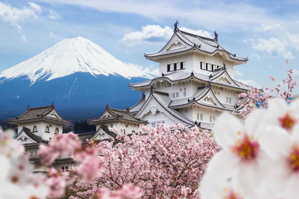 Intercâmbio no Japão