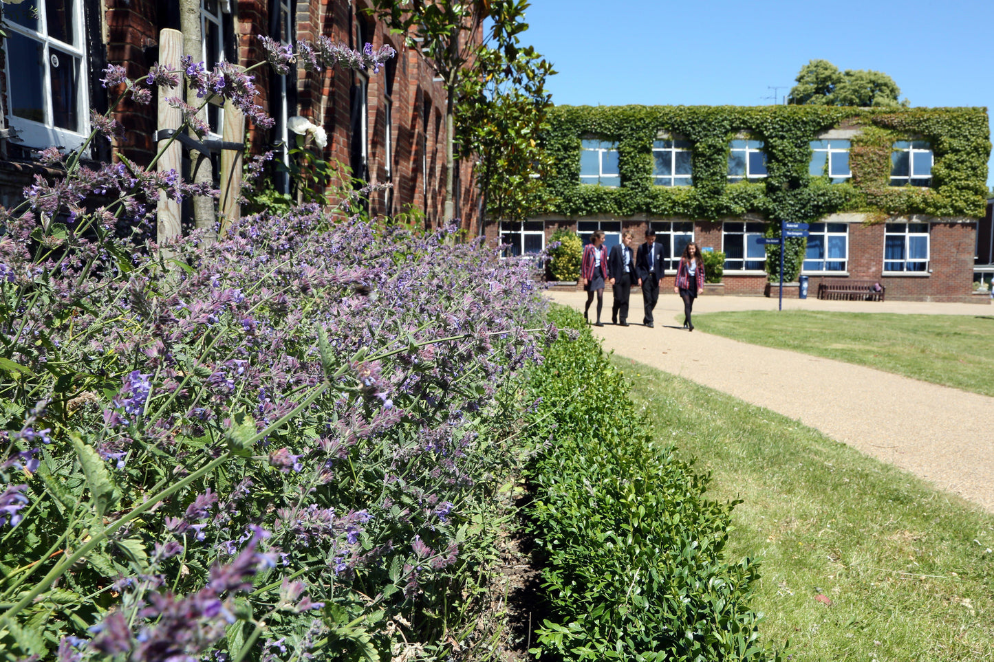 Ashford School