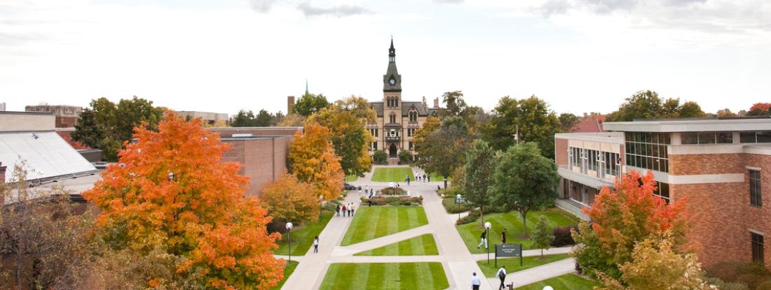 Hamline University College