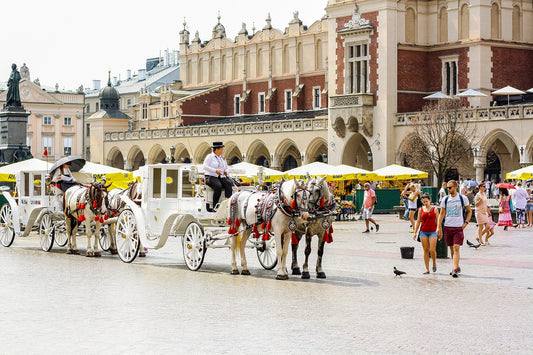 Study Dentistry in Poland