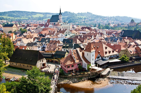Study Medical Bioengineering (Master’s) in Czech Republic