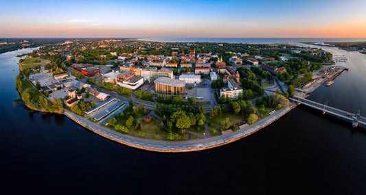 Study Medical Bioengineering (Master’s) in Estonia
