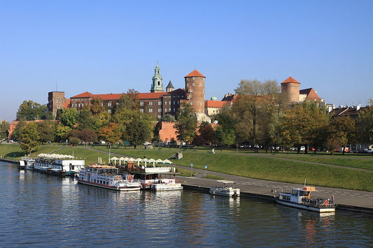 Study Medical Bioengineering (Master’s) in Poland