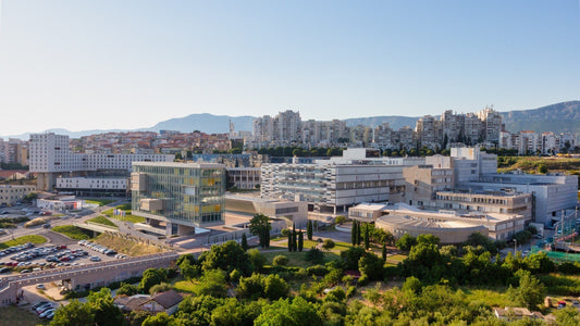 Study Medicine in Croatia
