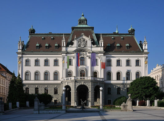 Study Physiotherapy in Slovenia