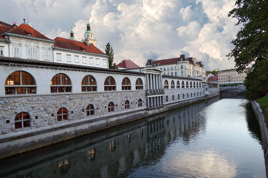 Study Veterinary Medicine in Slovenia
