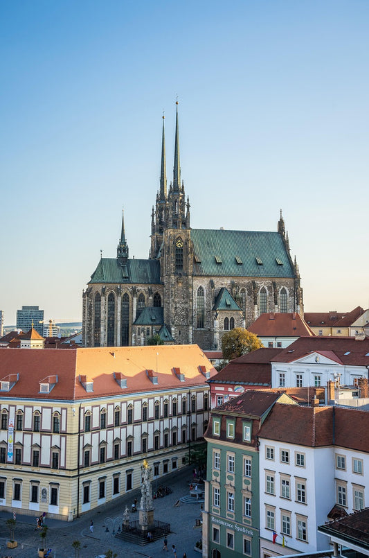 Study Veterinary Medicine in Czech Republic