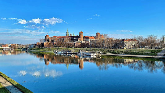 Study Veterinary Medicine in Poland